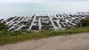 Oyster Beds in Cancale